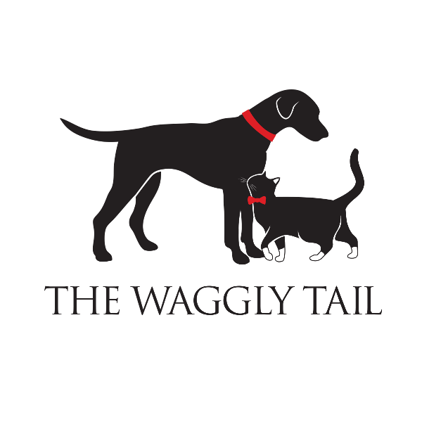 Free Meet and Greet | Contact | The Waggly Tail Dog Walking & Cat ...